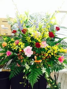 リニューアルオープンのお祝いに！！｜「コジマ生花」　（愛知県知立市の花キューピット加盟店 花屋）のブログ