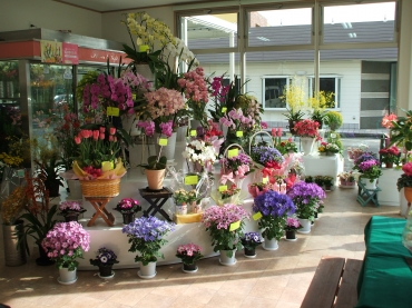 愛知県知立市の花屋 コジマ生花にフラワーギフトはお任せください 当店は 安心と信頼の花キューピット加盟店です 花キューピットタウン